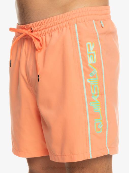 salmón fresco todos los días vert 16 voleas D6T4D703 hombres Quiksilver