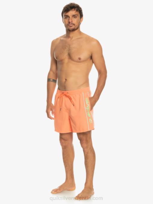 salmón fresco todos los días vert 16 voleas D6T4D703 hombres Quiksilver