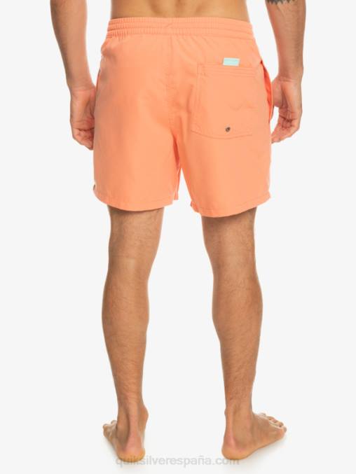 salmón fresco todos los días vert 16 voleas D6T4D703 hombres Quiksilver