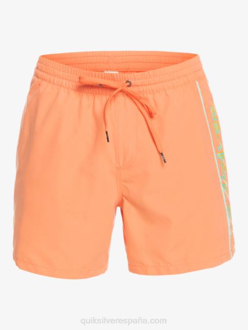 salmón fresco todos los días vert 16 voleas D6T4D703 hombres Quiksilver