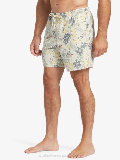 sensación perfecta de arroz integral Waterman sensación perfecta 17 voleas D6T4D408 hombres Quiksilver