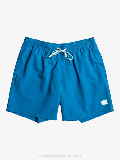 snorkel azul todos los días 17 voleas D6T4D625 hombres Quiksilver