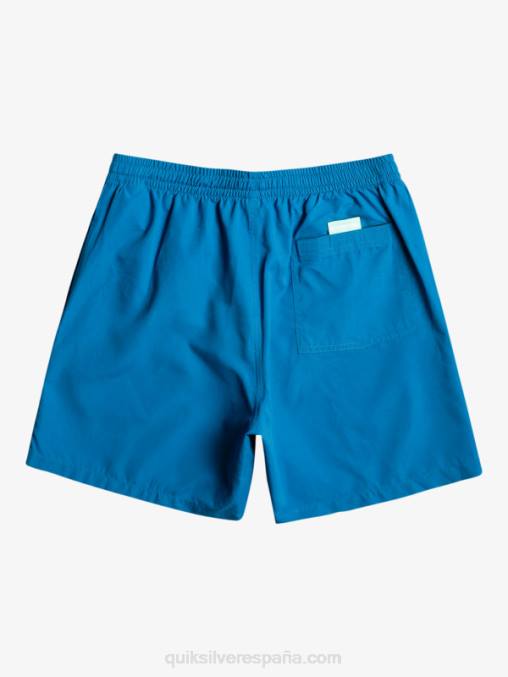 snorkel azul todos los días 17 voleas D6T4D625 hombres Quiksilver