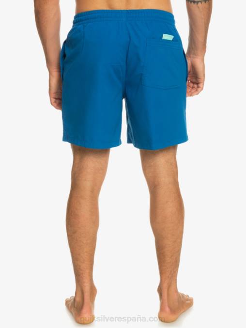snorkel azul todos los días 17 voleas D6T4D625 hombres Quiksilver