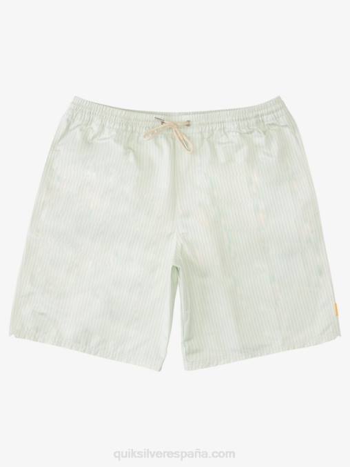 sutil raya de cubierta verde baraja waterman stripe 19 voleas D6T4D1843 hombres Quiksilver