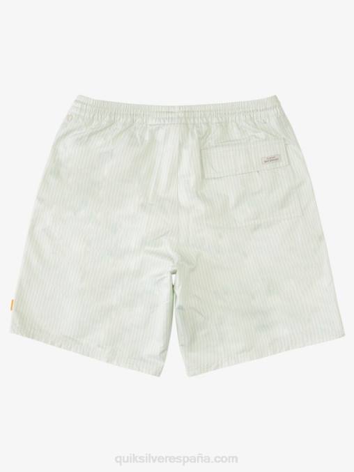sutil raya de cubierta verde baraja waterman stripe 19 voleas D6T4D1843 hombres Quiksilver