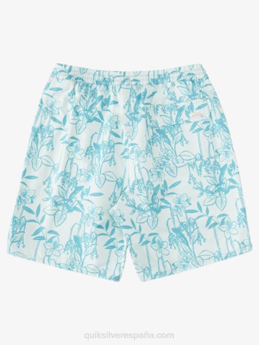 sutil verde suelto vy Waterman Loose Ways 17 voleas D6T4D939 hombres Quiksilver