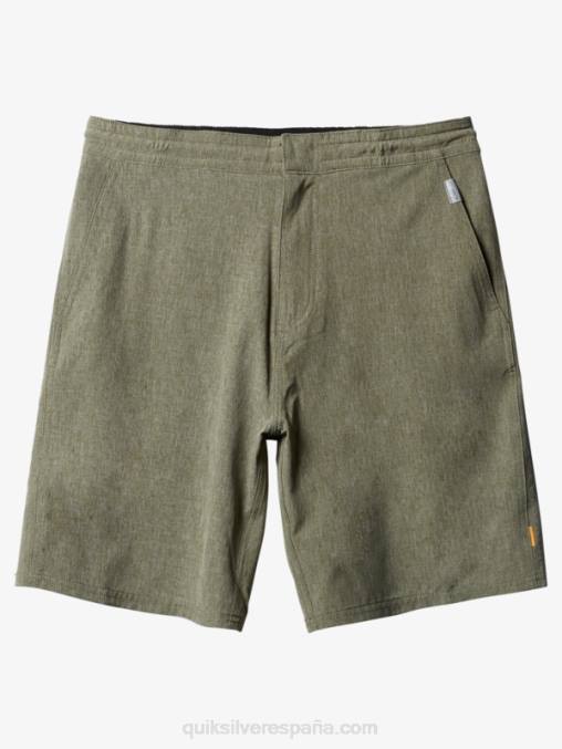 trébol de cuatro hojas brezo bañador waterman suva 20 anfibio D6T4D783 hombres Quiksilver