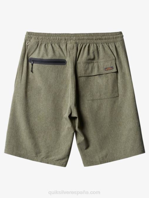 trébol de cuatro hojas brezo bañador waterman suva 20 anfibio D6T4D783 hombres Quiksilver