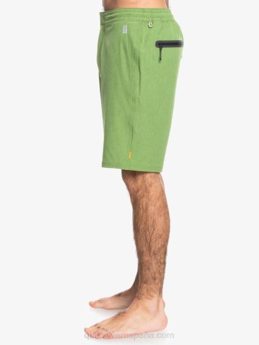 trébol de cuatro hojas brezo bañador waterman suva 20 anfibio D6T4D783 hombres Quiksilver
