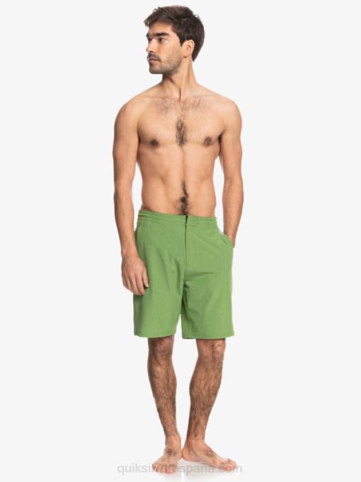 trébol de cuatro hojas brezo bañador waterman suva 20 anfibio D6T4D783 hombres Quiksilver