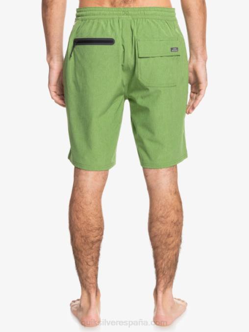 trébol de cuatro hojas brezo bañador waterman suva 20 anfibio D6T4D783 hombres Quiksilver