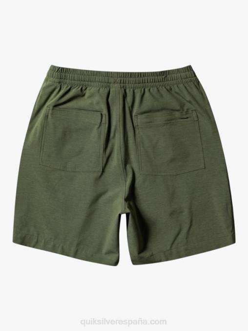 trébol de cuatro hojas taxer heather 18 bañadores anfibios D6T4D303 hombres Quiksilver