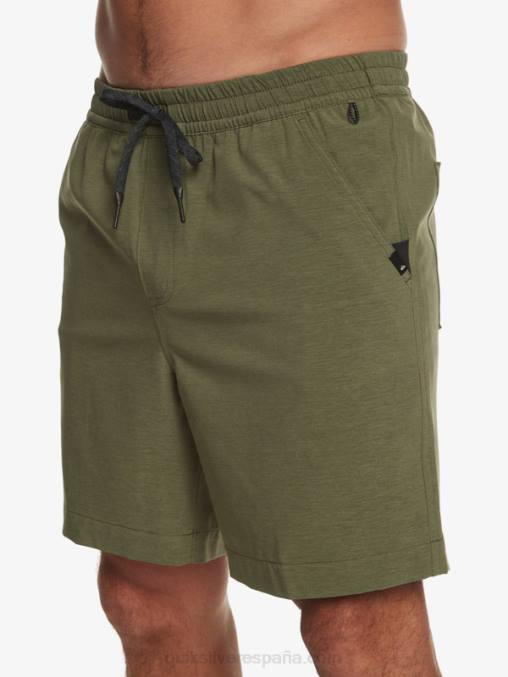 trébol de cuatro hojas taxer heather 18 bañadores anfibios D6T4D303 hombres Quiksilver