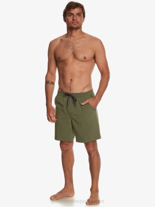trébol de cuatro hojas taxer heather 18 bañadores anfibios D6T4D303 hombres Quiksilver