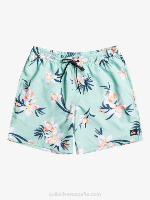 vaso de playa mezcla todos los días 17 voleas D6T4D1211 hombres Quiksilver