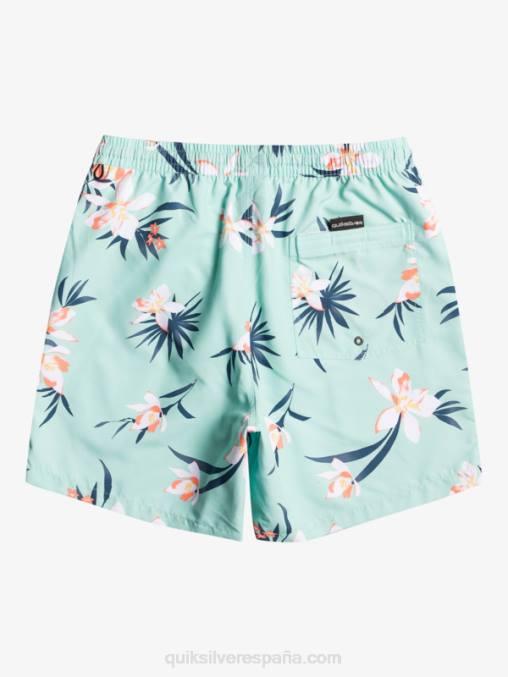 vaso de playa mezcla todos los días 17 voleas D6T4D1211 hombres Quiksilver