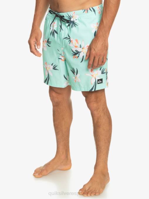 vaso de playa mezcla todos los días 17 voleas D6T4D1211 hombres Quiksilver