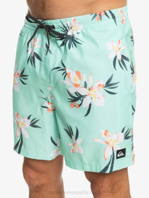 vaso de playa mezcla todos los días 17 voleas D6T4D1211 hombres Quiksilver
