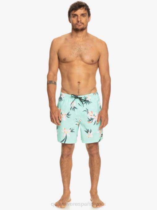 vaso de playa mezcla todos los días 17 voleas D6T4D1211 hombres Quiksilver