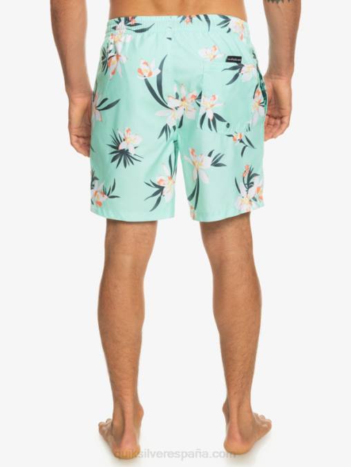 vaso de playa mezcla todos los días 17 voleas D6T4D1211 hombres Quiksilver