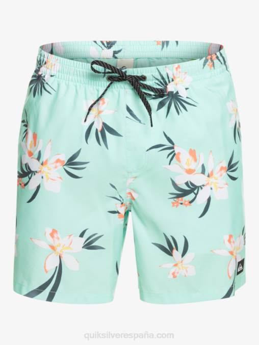 vaso de playa mezcla todos los días 17 voleas D6T4D1211 hombres Quiksilver