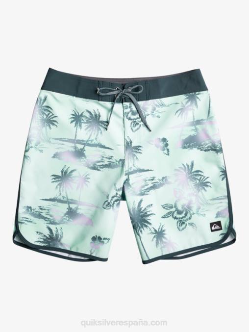 vaso de playa shorts de playa surfsilk festoneado 19 D6T4D222 hombres Quiksilver
