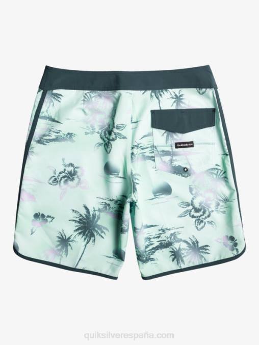 vaso de playa shorts de playa surfsilk festoneado 19 D6T4D222 hombres Quiksilver