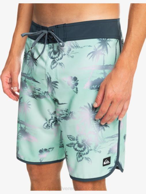 vaso de playa shorts de playa surfsilk festoneado 19 D6T4D222 hombres Quiksilver