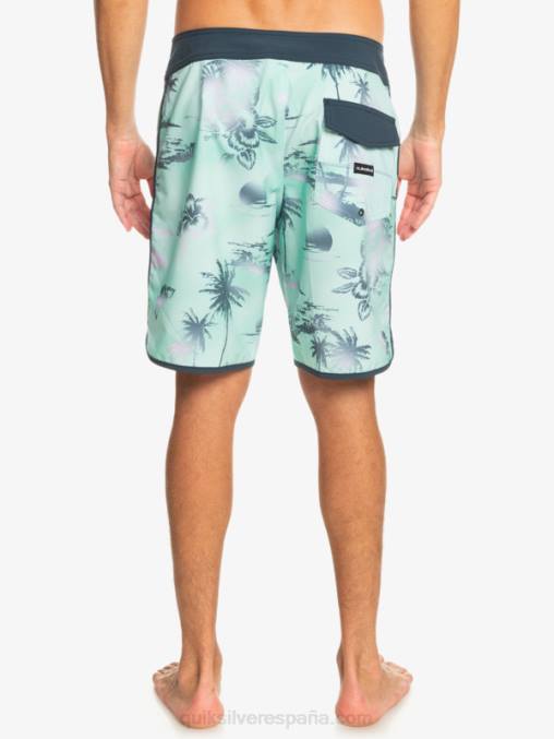 vaso de playa shorts de playa surfsilk festoneado 19 D6T4D222 hombres Quiksilver