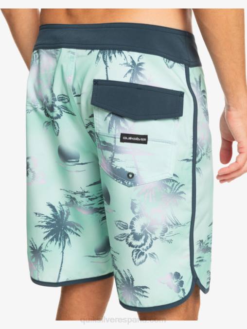 vaso de playa shorts de playa surfsilk festoneado 19 D6T4D222 hombres Quiksilver