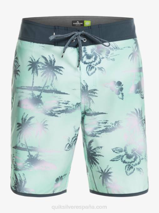 vaso de playa shorts de playa surfsilk festoneado 19 D6T4D222 hombres Quiksilver