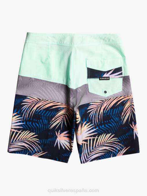 vaso de playa shorts de playa surfsilk panel 20 D6T4D134 hombres Quiksilver