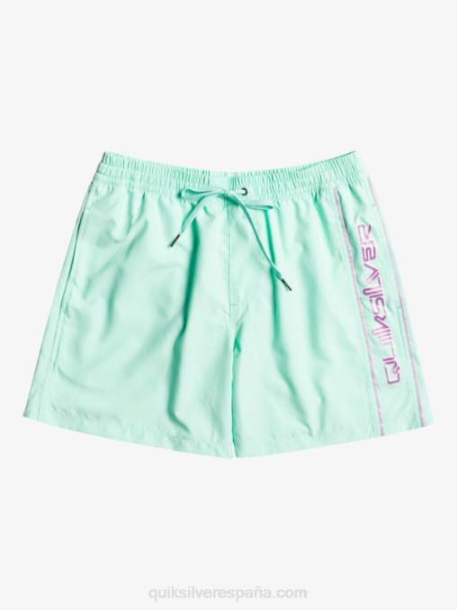 vaso de playa todos los días vert 16 voleas D6T4D702 hombres Quiksilver