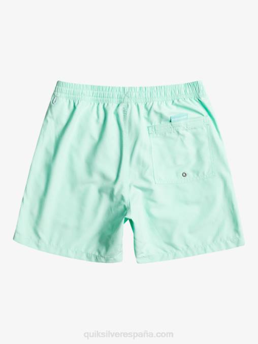 vaso de playa todos los días vert 16 voleas D6T4D702 hombres Quiksilver
