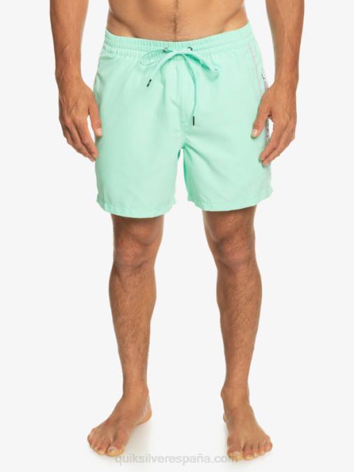 vaso de playa todos los días vert 16 voleas D6T4D702 hombres Quiksilver