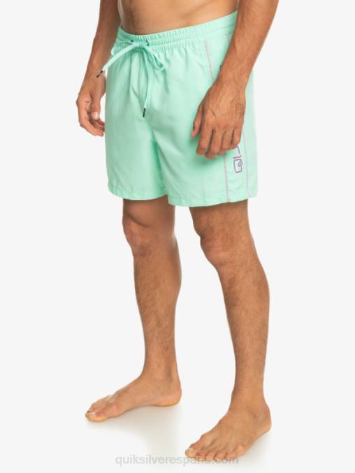 vaso de playa todos los días vert 16 voleas D6T4D702 hombres Quiksilver