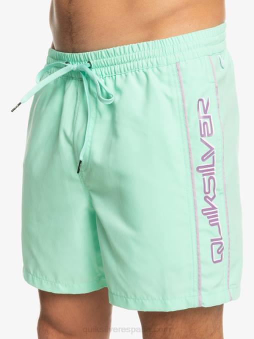 vaso de playa todos los días vert 16 voleas D6T4D702 hombres Quiksilver