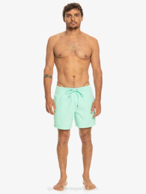vaso de playa todos los días vert 16 voleas D6T4D702 hombres Quiksilver