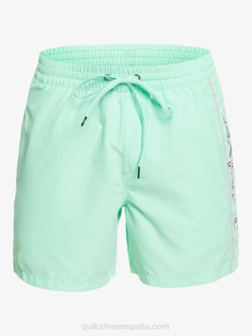 vaso de playa todos los días vert 16 voleas D6T4D702 hombres Quiksilver
