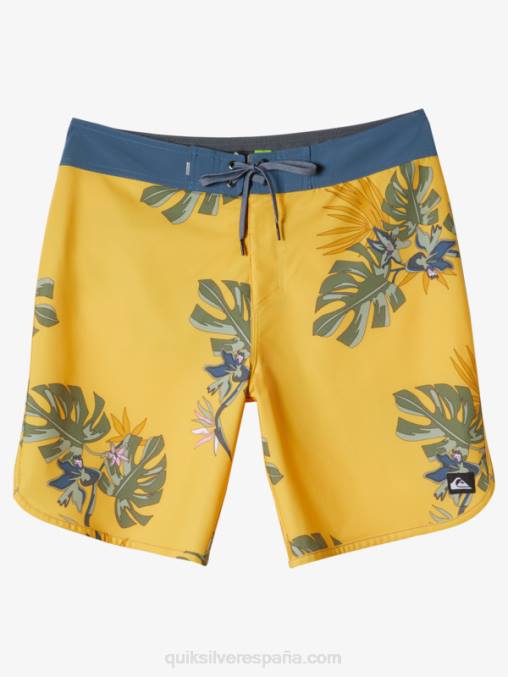 yema de huevo shorts de playa surfsilk festoneado 19 D6T4D214 hombres Quiksilver