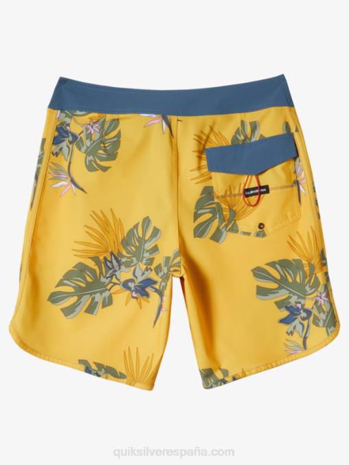 yema de huevo shorts de playa surfsilk festoneado 19 D6T4D214 hombres Quiksilver