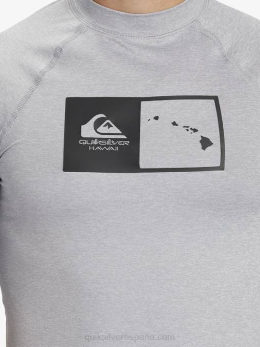 brezo aguanieve camiseta de surf de manga corta hawaii double down upf 50 D6T4D1169 hombres Quiksilver