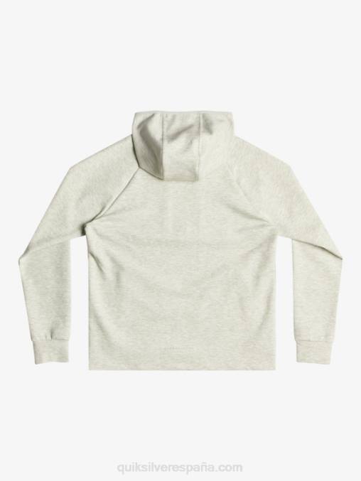 brezo gris violeta quítate la sudadera con capucha D6T4D1029 hombres Quiksilver