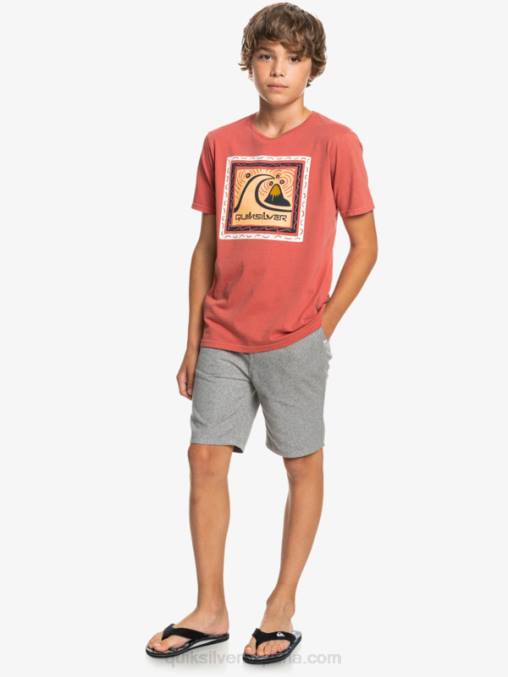 brezo gris claro 8-16 todos los días 17 pantalones cortos chinos D6T4D2286 Niños Quiksilver