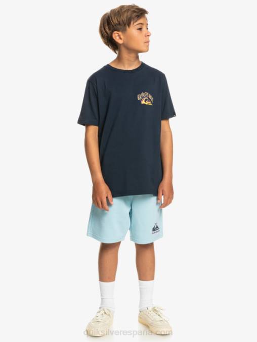 cielo azul Joggers de 8 a 16 días fáciles D6T4D2072 Niños Quiksilver
