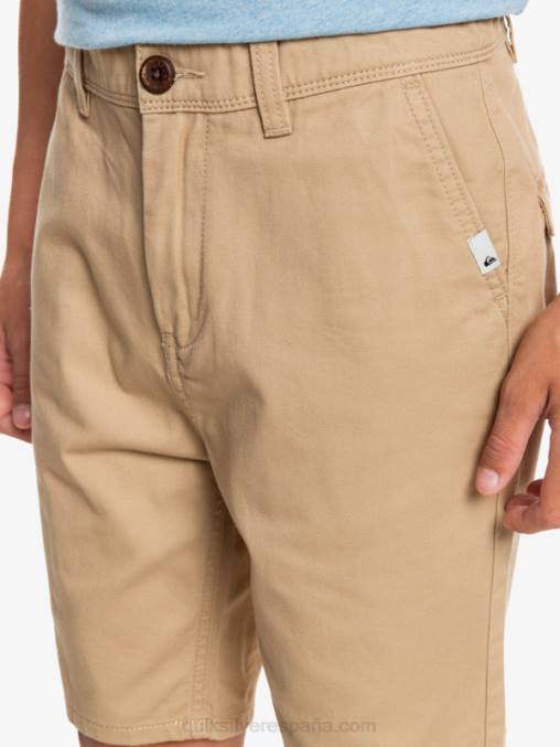 incienso 8-16 todos los días 17 pantalones cortos chinos D6T4D2288 Niños Quiksilver