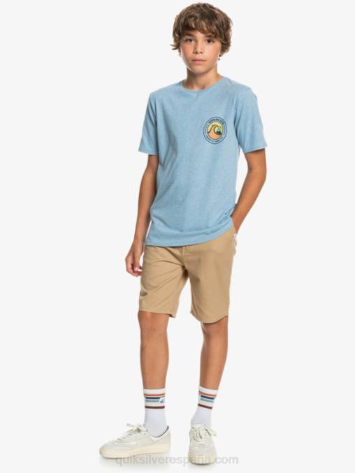 incienso 8-16 todos los días 17 pantalones cortos chinos D6T4D2288 Niños Quiksilver