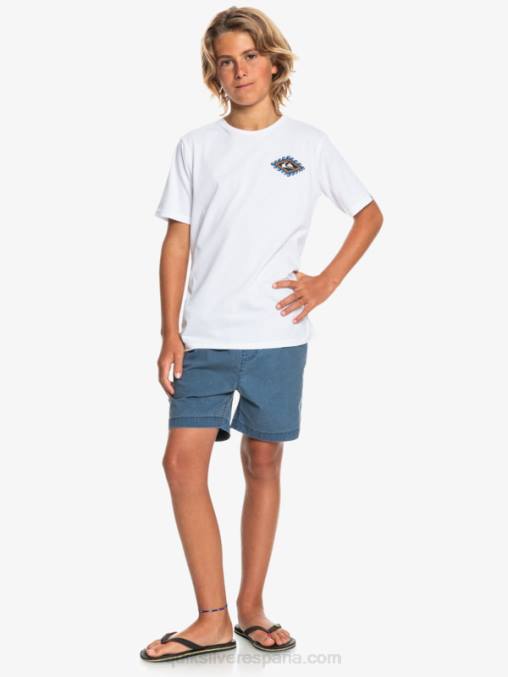 insignias azules 8-16 taxer 15 pantalones cortos con cintura elástica D6T4D2083 Niños Quiksilver