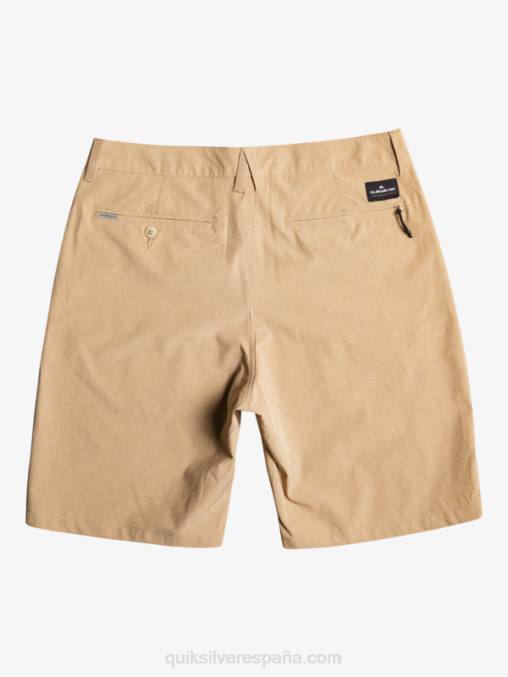 playa 8-16 union heather anfibio 19 pantalones cortos híbridos D6T4D2315 Niños Quiksilver